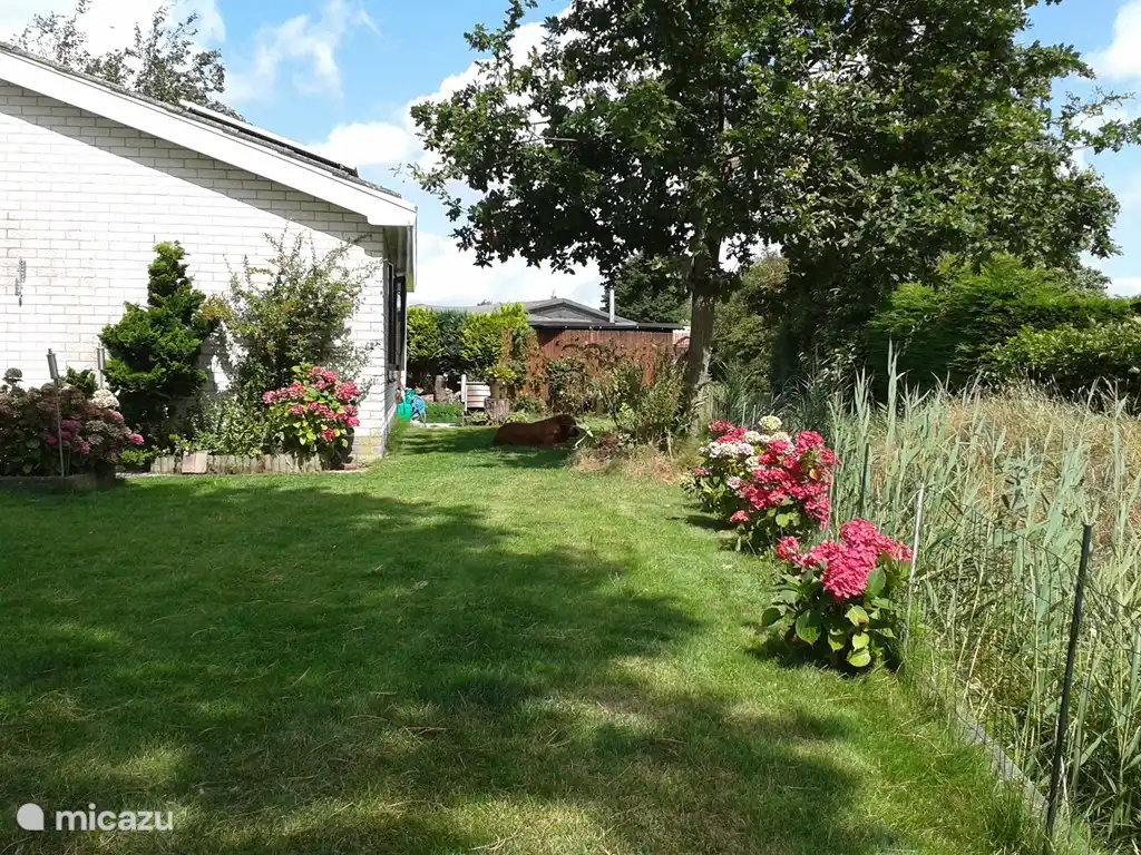 Noch ein kleiner Garten