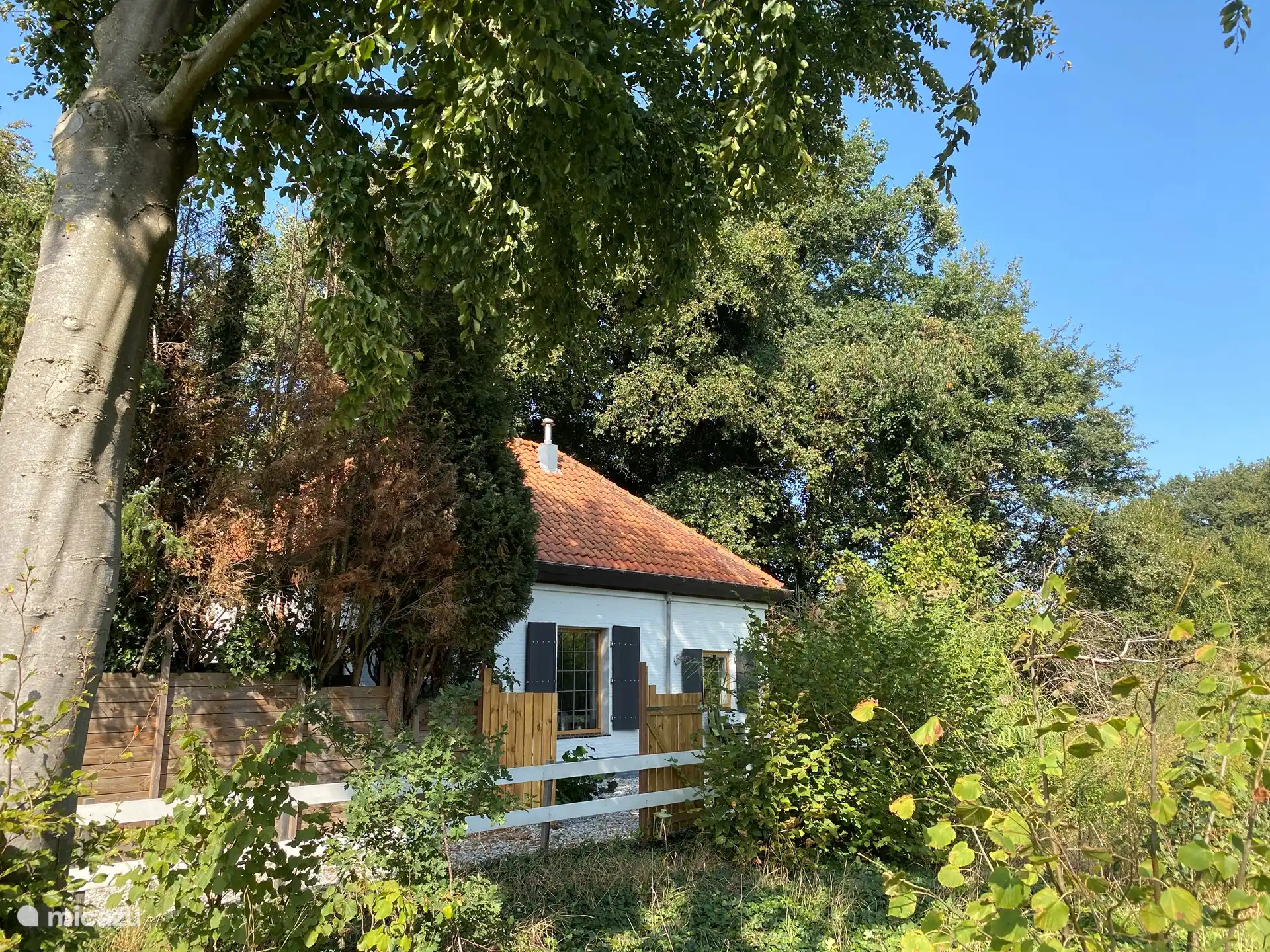 ferienhaus, Roerdalen, Limburg, Niederlande - Die PTT-house
