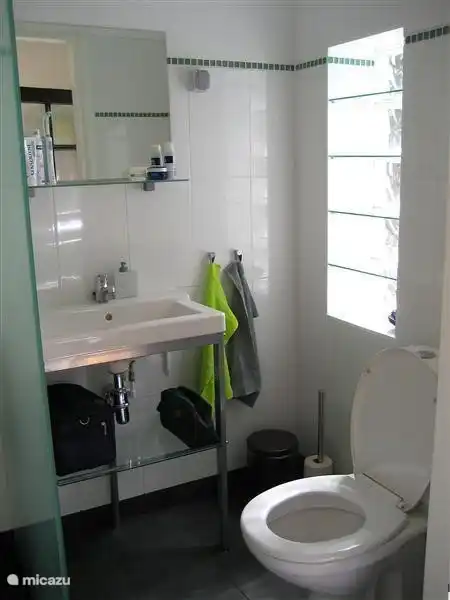 Im Erdgeschoss ein modernes, zeitgemäßes Bad mit Dusche ...