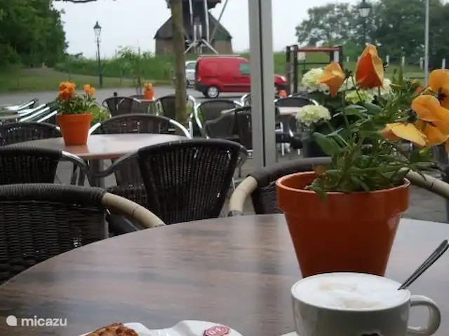 La maison des PTT | Pays-Bas, Limbourg, Roerdalen - maison de vacances au 'Oetsjpanning' sur la terrasse pour un café avec tarte limbourgeoise avec vue sur le moulin de St. Bernhard