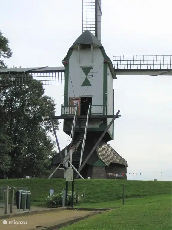 die St.Bernhardmolen im Roer Tal, einen 10-minütigen Spaziergang entfernt. Mit Jeu-de-Boules-Feld im Vordergrund