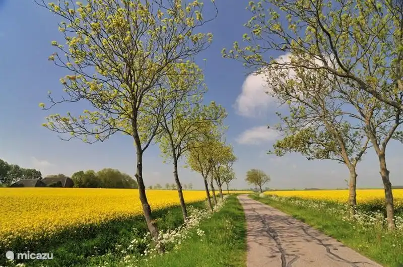 Das schöne landwirtschaftliche Roerdal beginnt in der Nähe des Hauses.
