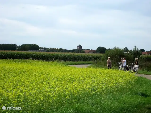 La maison des PTT | Pays-Bas, Limbourg, Roerdalen - maison de vacances balade à vélo dans la vallée du Roer