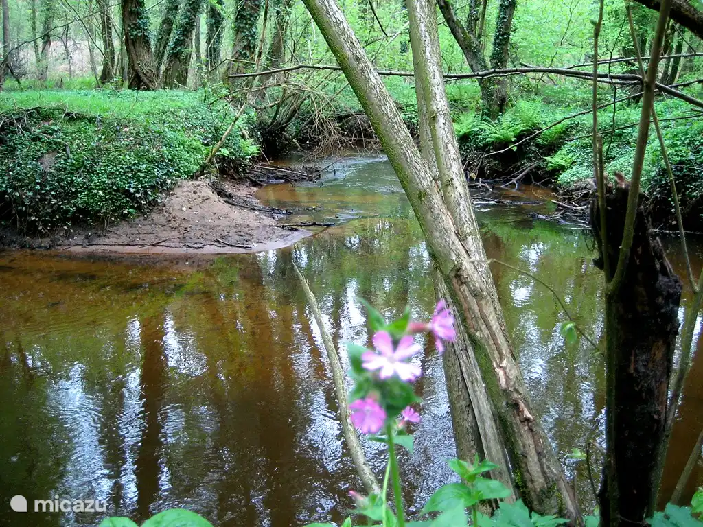 Durch die Leudal fließt der Tungelroyse Beek (lokal Leubeek genannt)
