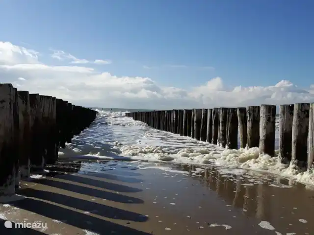 Le Tollenaer | Pays-Bas, Zélande, Biggekerke - maison de vacances Les poteaux de plage typiques.
