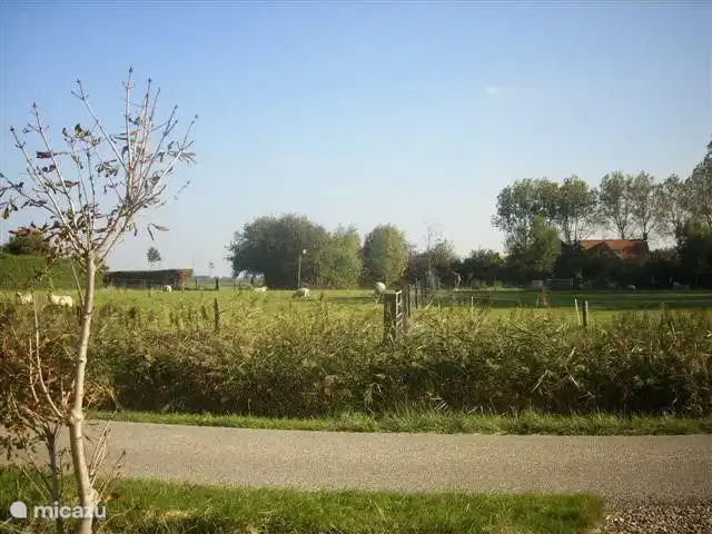 Schöne Aussicht von der Hütte