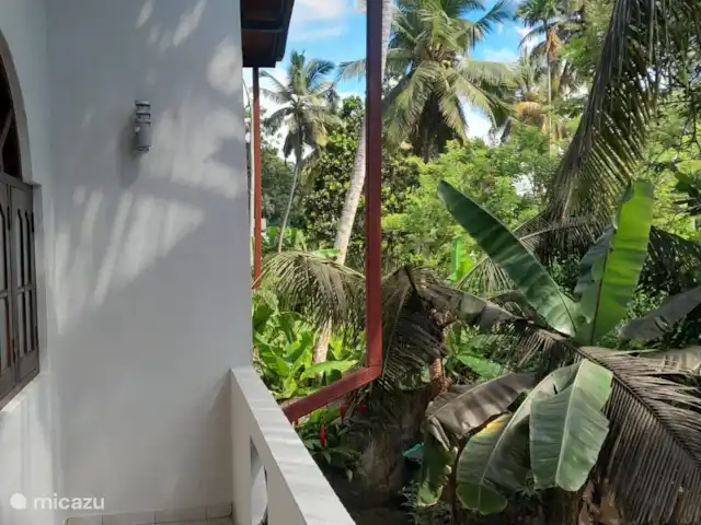 Location de Vacances Sri Lanka, Sud, Habaraduwa, bungalow - Susabanda Vue de l’autre côté.