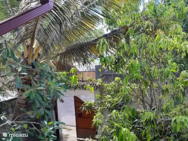 Location de Vacances Sri Lanka, Sud, Habaraduwa, bungalow - Susabanda Le portail d’entrée. L’ensemble de la parcelle dispose d’un mur et d'1 portail d’entrée.