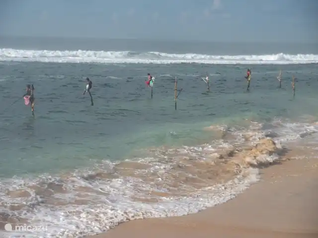 Location de Vacances Sri Lanka, Sud, Habaraduwa, bungalow - Susabanda Les pêcheurs à la canne sont à proximité de la maison !