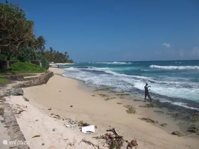 Location de Vacances Sri Lanka, Sud, Habaraduwa, bungalow - Susabanda La plage