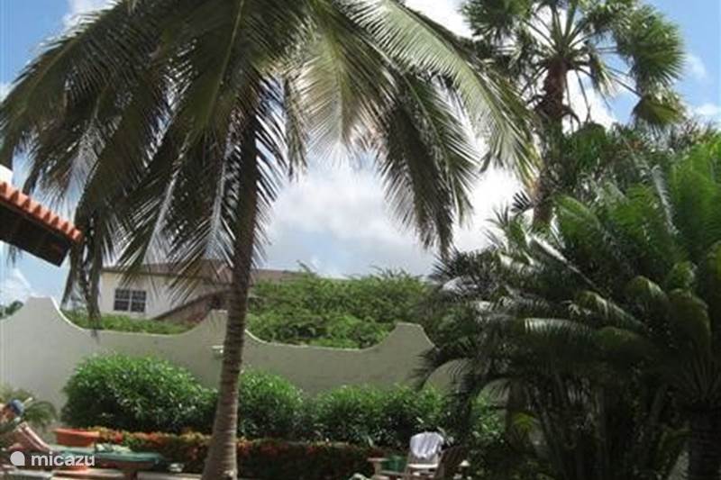 Vacation rental Aruba, Pos Chiquito, Pos Chiquito Villa Sabana Basora