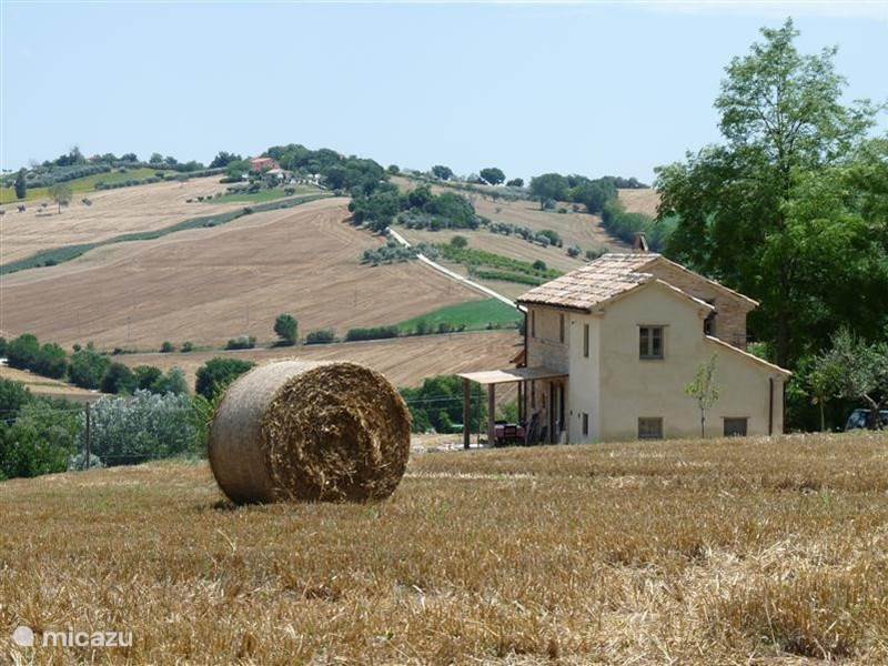 Casa vacacional Italia, Marche, Corinaldo Casa vacacional Casa Colline di Bartolo