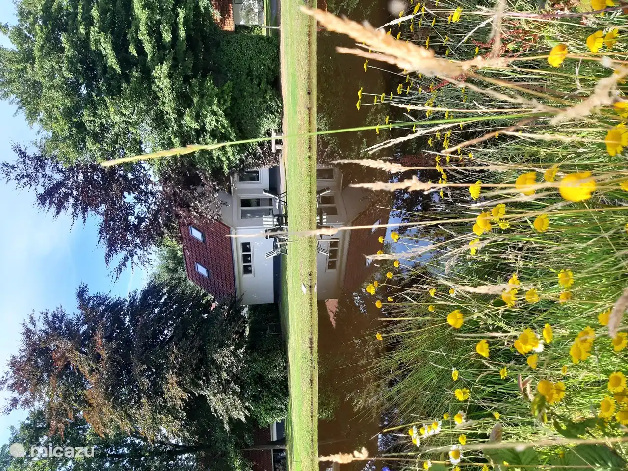 ferienhaus, Sint Nicolaasga, Friesland, Niederlande - Landzicht