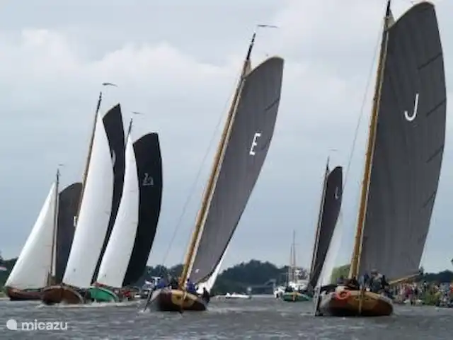 vista al campo en Países Bajos, Frise, Sint Nicolaasga - casa vacacional Skûtsjesilen
