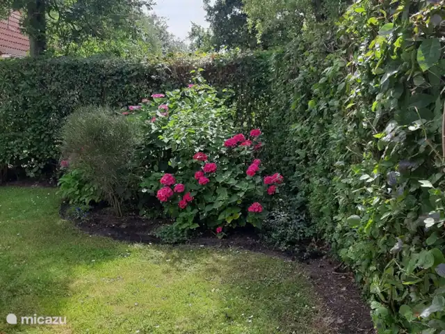 vista al campo en Países Bajos, Frise, Sint Nicolaasga - casa vacacional