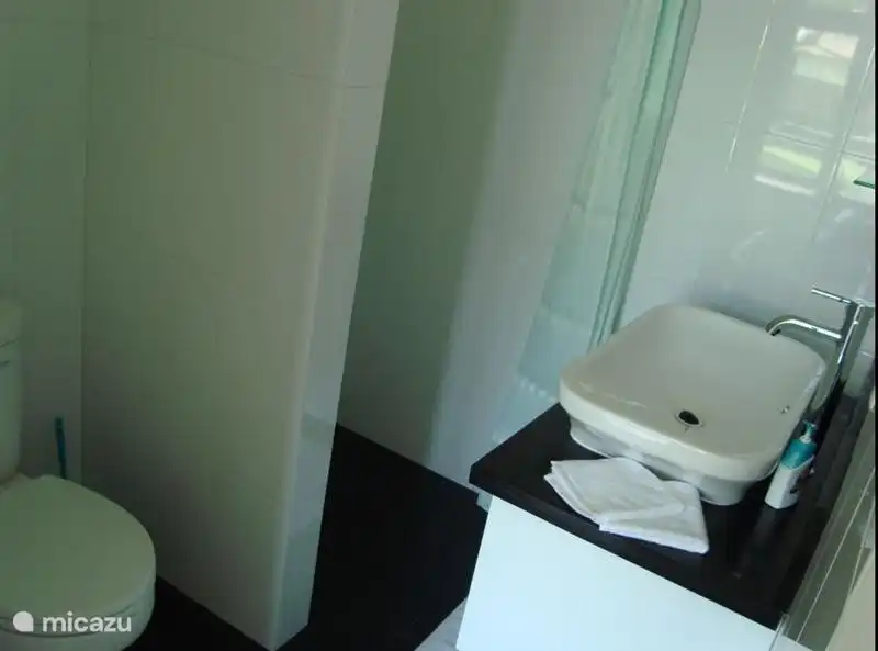 Luxe badkamer met wastafel, douche en toilet.