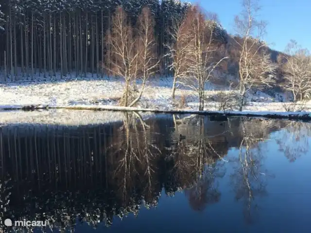 Maison de vacances familiale Gite Ardennais  | Belgique, Ardennes, Fraiture - maison de vacances Lac des cygnes en hiver, à distance de marche, vous passez au cours d’une promenade