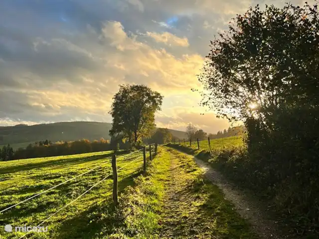 Maison de vacances familiale Gite Ardennais  | Belgique, Ardennes, Fraiture - maison de vacances Ardennes d'automne