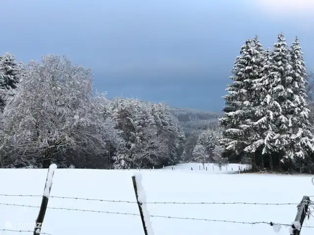 Maison de vacances familiale Gite Ardennais  | Belgique, Ardennes, Fraiture - maison de vacances Neige dans les Ardennes