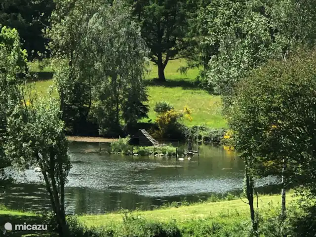 Maison de vacances familiale Gite Ardennais  | Belgique, Ardennes, Fraiture - maison de vacances L’été du lac des cygnes