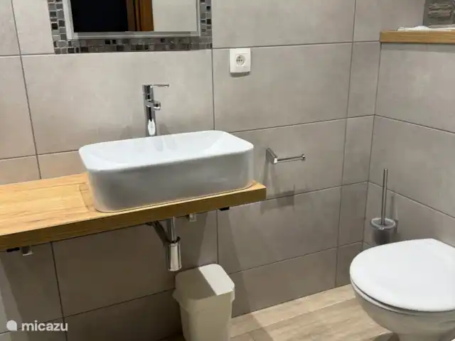 Maison de vacances familiale Gite Ardennais  | Belgique, Ardennes, Fraiture - maison de vacances Salle de bain avec douche, lavabo et toilettes
