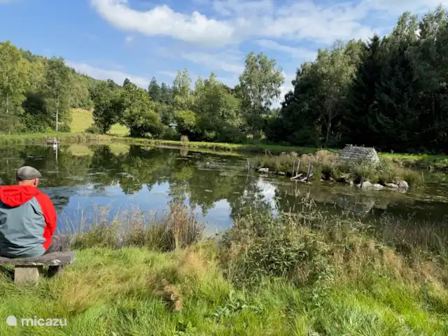 Maison de vacances familiale Gite Ardennais  | Belgique, Ardennes, Fraiture - maison de vacances Promenade le long du lac privé à Fraiture. Pêche interdite en raison du domaine privé