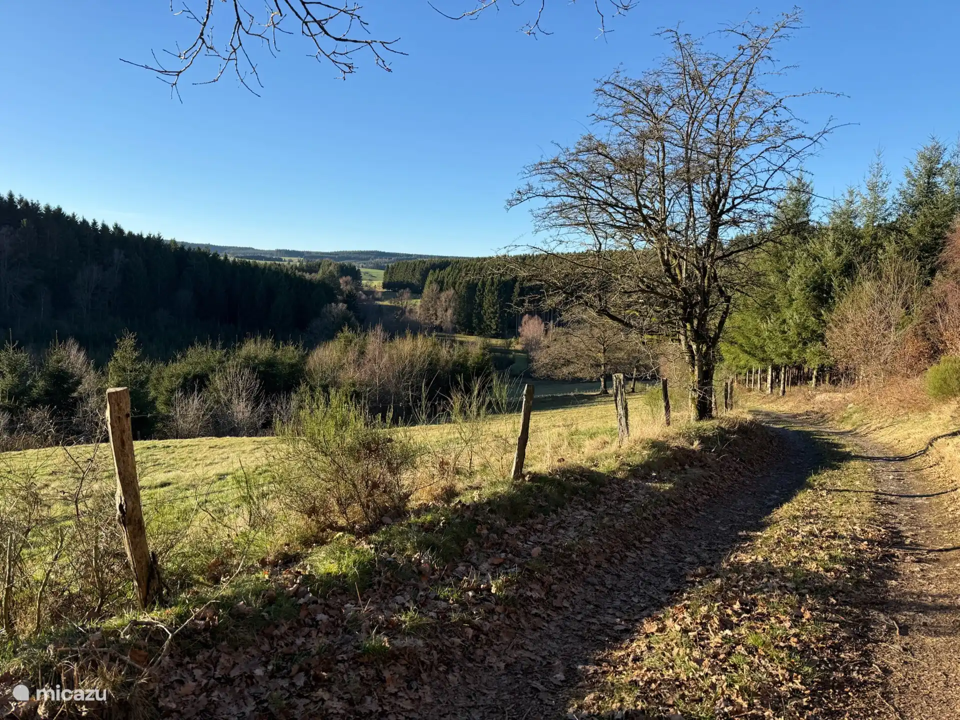 Région Baraque de Fraiture avec de magnifiques sentiers de randonnée directement depuis le Gite.
