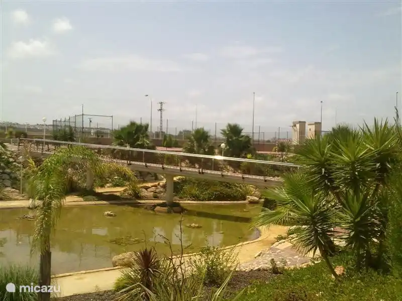Du jardin il y a une vue sur le magnifique étang. Pas de poisson, mais des grenouilles.