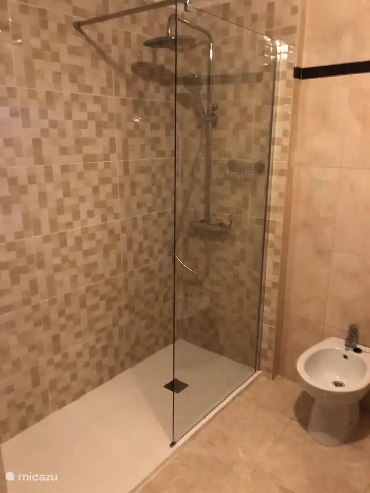 Douche à l'italienne