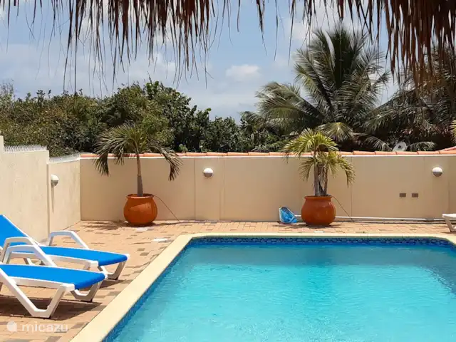 Kas Mondi | Curaçao, Banda Ariba (est), Jan Thiel - villa Vue de la piscine sous la palapa