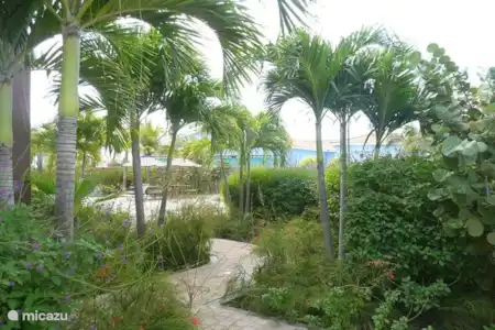 Vakantiehuis Bonaire, Bonaire, Kralendijk appartement Bon Bida 14 Tuin