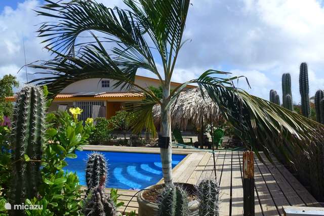Vakantiehuis Bonaire, Bonaire, Kralendijk – vakantiehuis Kas Iguana, met privézwembad !
