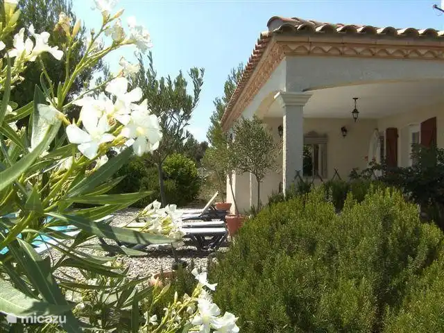Le Chat Rouge 2026 avec 5** Confort | France, Hérault, Siran-Najac - villa Lauriers roses parfumés et fleuris.
