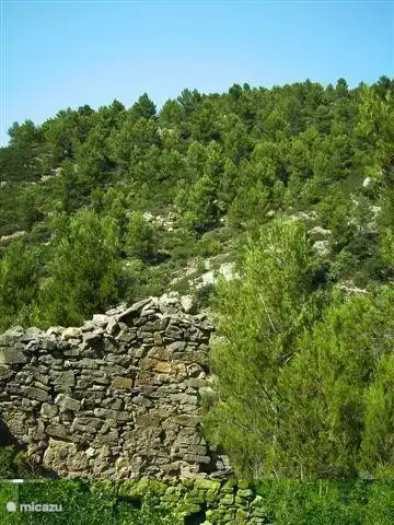 If you go hiking you only really see how beautiful nature is.