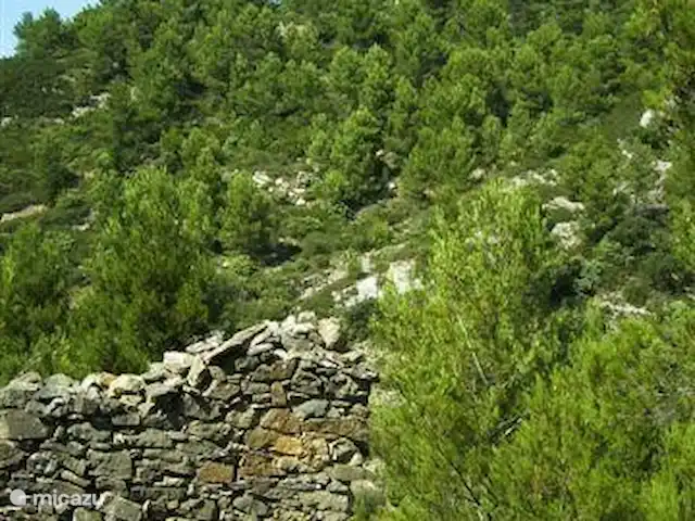 Le Chat Rouge 2026 avec 5** Confort | France, Hérault, Siran-Najac - villa Lorsque vous vous promenez, vous ne verrez que la beauté de la nature.