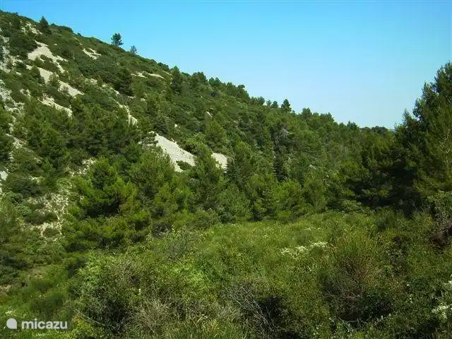 La Souris Grise 3** vakantie 2026  huren in Frankrijk, Hérault, Siran-Najac - vakantiehuis Kijk en geniet. Wandelen kunt u hier volop, of zoek het hoger op ! Zie video Pic de Nore. Bij mooi weer een fantastische wandeltocht hoogte 1211m .