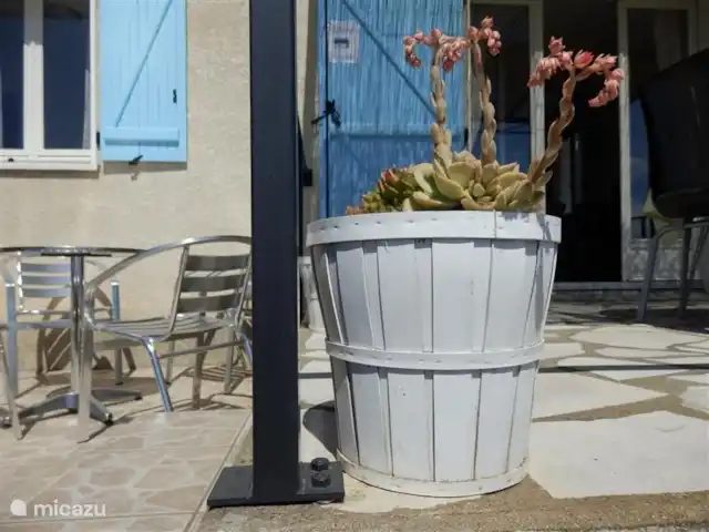 La Souris Grise 3** vakantie 2026  huren in Frankrijk, Hérault, Siran-Najac - vakantiehuis Wist u dat vetplanten heel mooi bloeien?