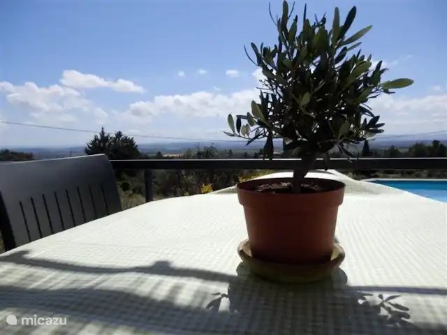 La Souris Grise 3** vakantie 2026  huren in Frankrijk, Hérault, Siran-Najac - vakantiehuis Mini olijfboom op de eettafel. In de omgeving vindt u naast uitgestrekte wijnvelden ook veel olijfbomen. Een leuk uitje is een bezoek aan de Olibo, een olijfperserij waar u naast goede olijfolie ook heerlijke olijven kunt proeven en kopen.
