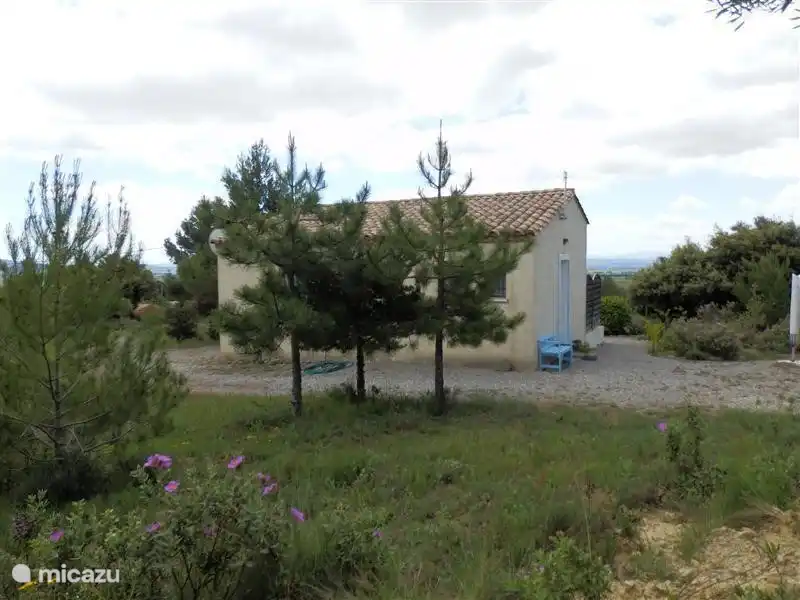 Back La Souris Grise