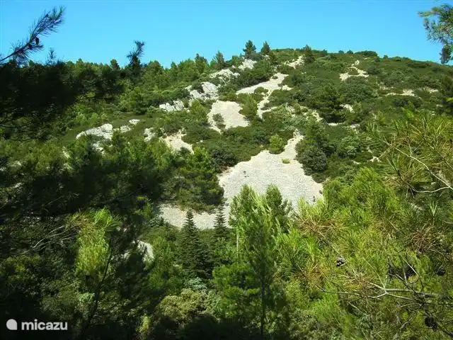 Beautiful scenery you will discover if you go for a walk in the area. Or step on your mountain bike! Soak up the song of the Cigales, in the summer they really do their best to sound the loudest.
