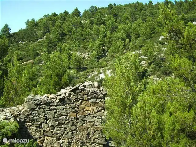 La Souris Grise 3** vakantie 2026  huren in Frankrijk, Hérault, Siran-Najac - vakantiehuis Wij zijn blij met onze achtertuin, kleuren,geuren, kortom fantastisch!. Maar ook de kust en het binnenland zijn mooi, zie video's.