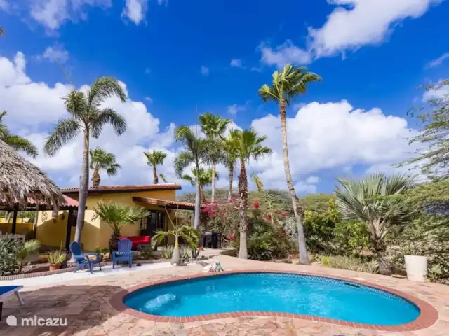 studio en Aruba, Oranjestad, Oranjestad – Apartamentos Caya Luna- casita Shoco Terraza de la piscina