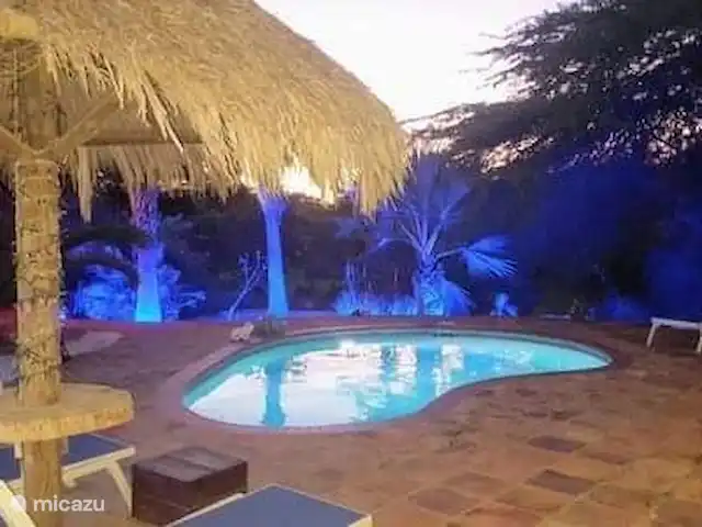 studio en Aruba, Oranjestad, Oranjestad – Apartamentos Caya Luna- casita Shoco Apartamentos Caya Luna por la noche.