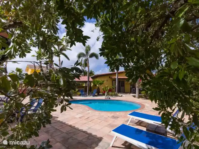 studio en Aruba, Oranjestad, Oranjestad – Apartamentos Caya Luna- casita Shoco Jardín tropical