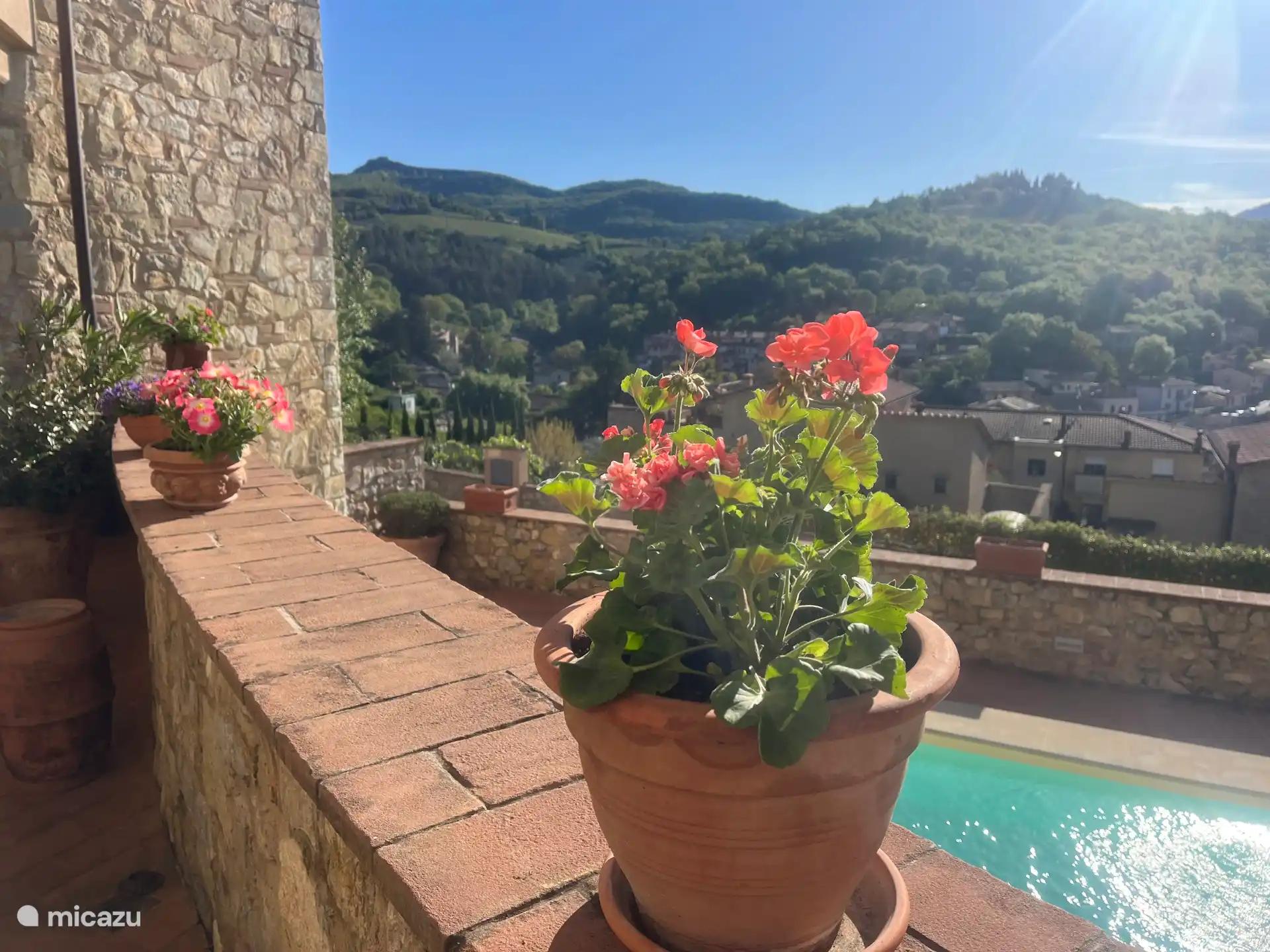 Colorful plants on the terrace 