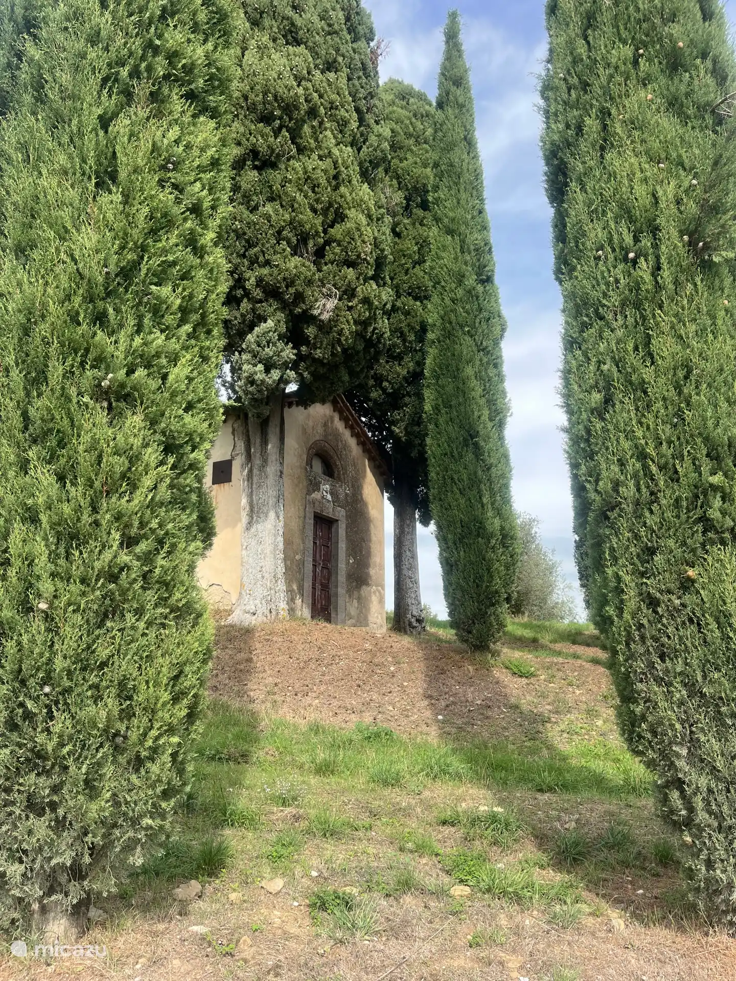 Caminata interminable por el vecindario