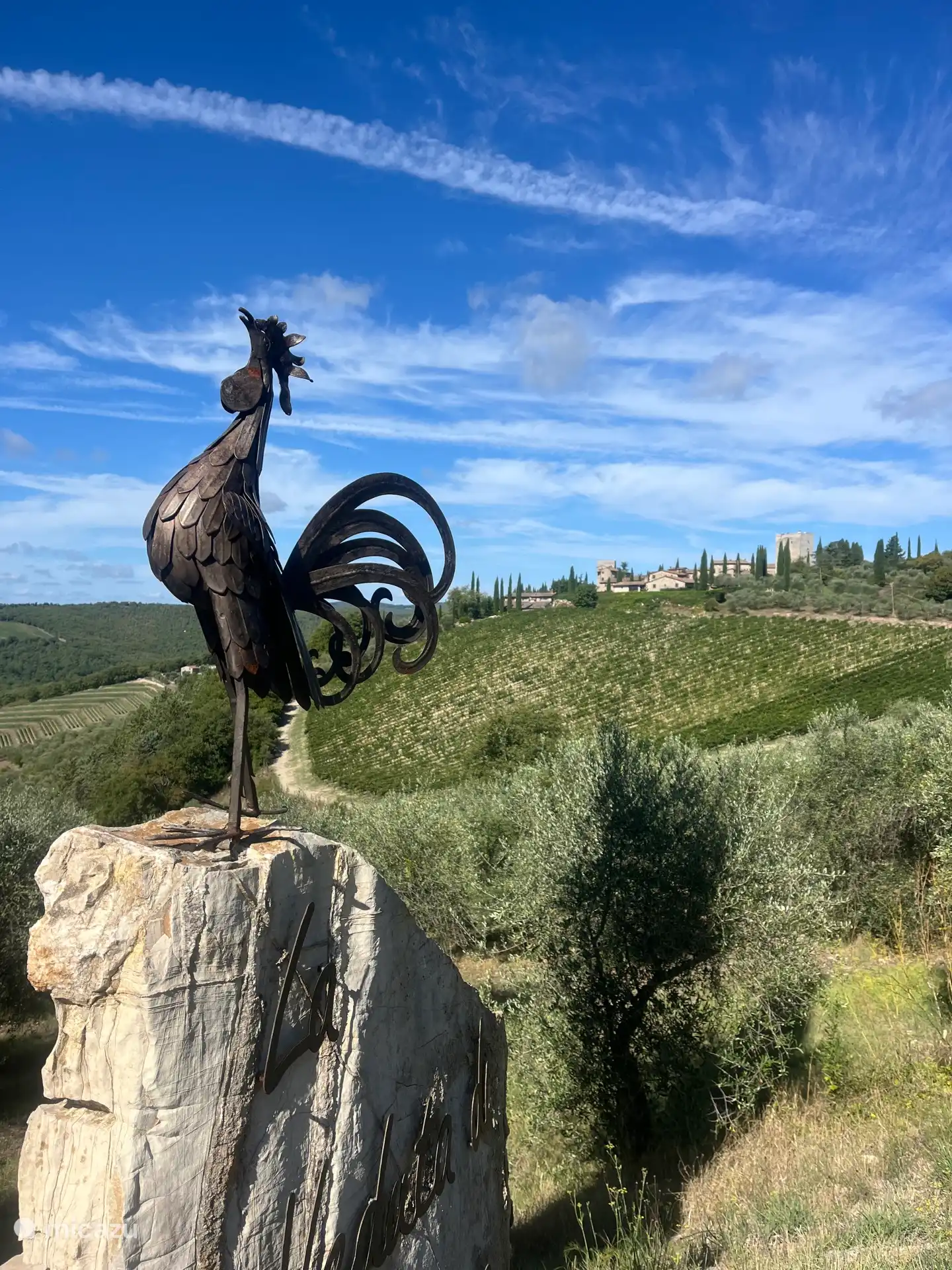 Ida y vuelta desde la casa hasta Vertine (2 km) 