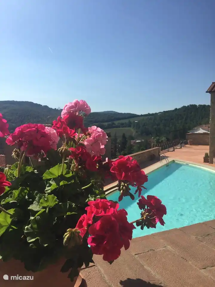 La gran piscina rara vez está llena, hay bonitas tumbonas y sombrillas. Aquí hay sol hasta la noche. 