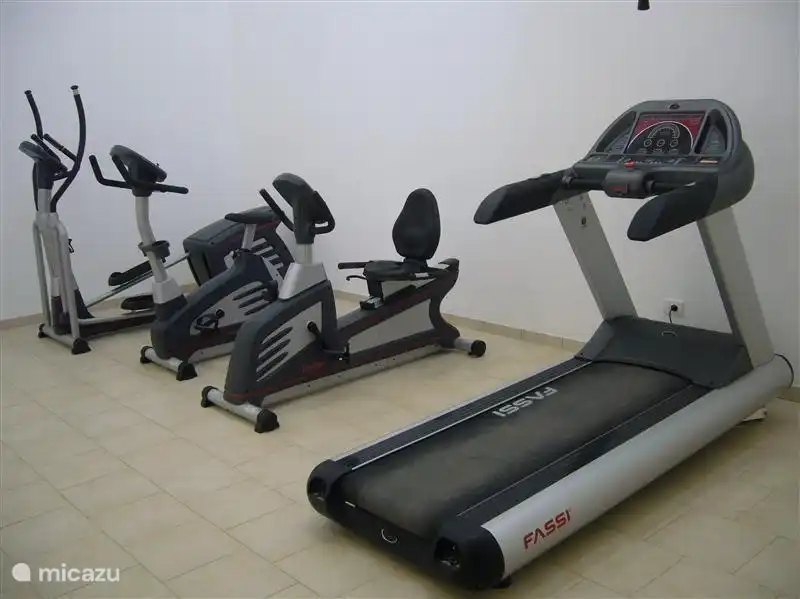 Gimnasio, en la planta baja del complejo, de uso gratuito para residentes e inquilinos. 