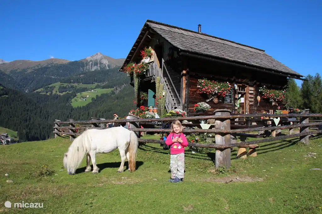 Steineckenalm, l'une des nombreuses belles cabanes de la région.